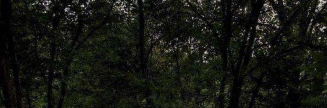 ss_22_mm's profile banner image