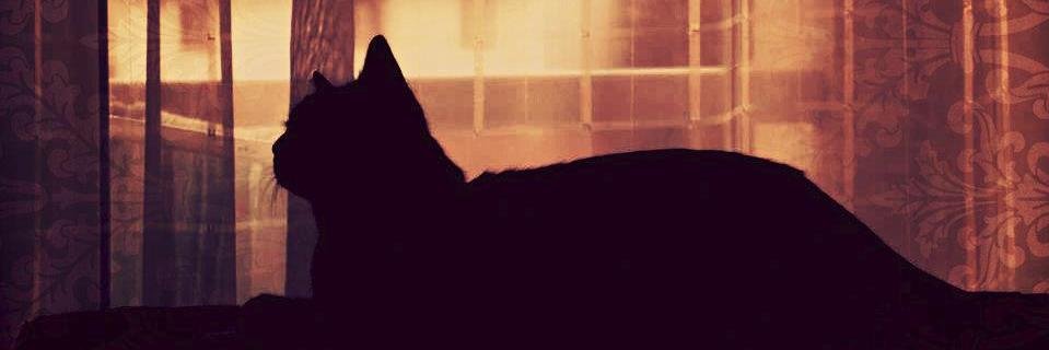 _JennyStephany_'s profile banner image