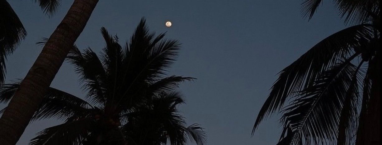 sinemsafak_'s profile banner image