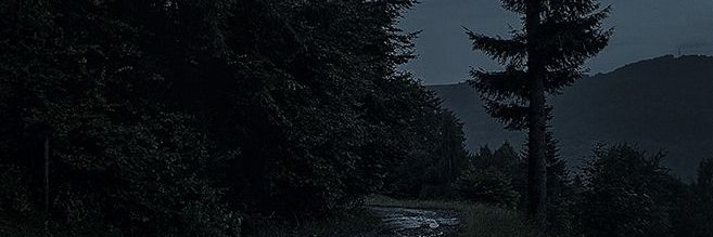 JstDOG's profile banner image
