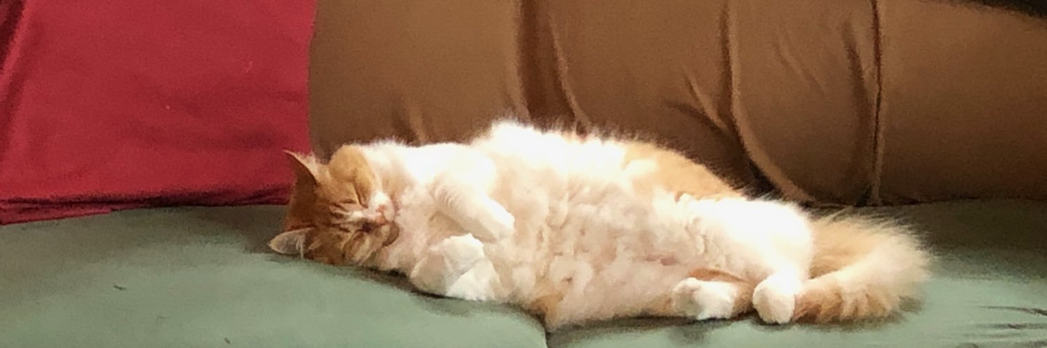 DaleTheSnail_'s profile banner image