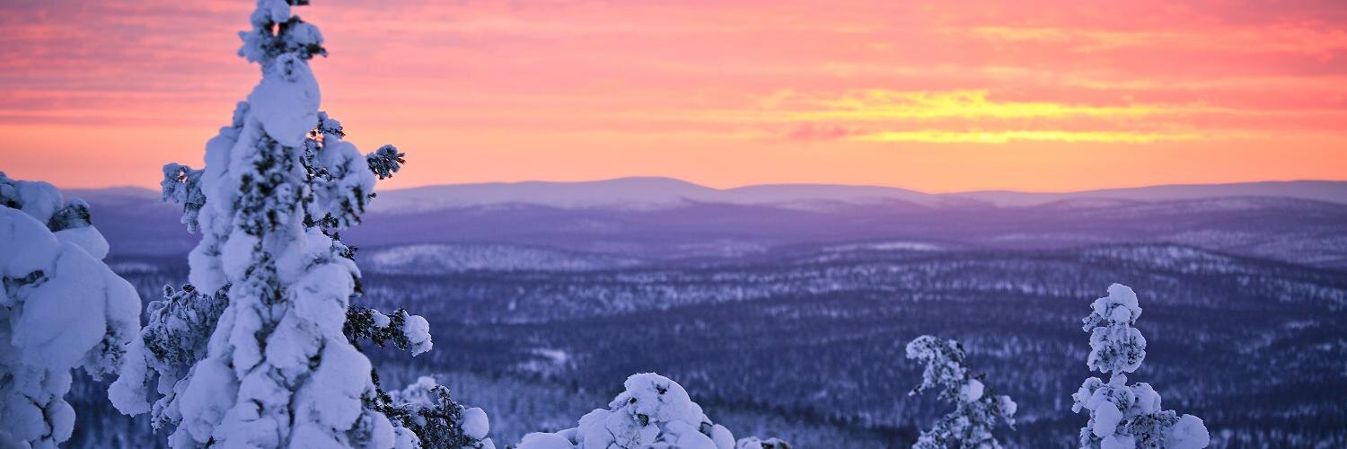 Max_Wayt's profile banner image