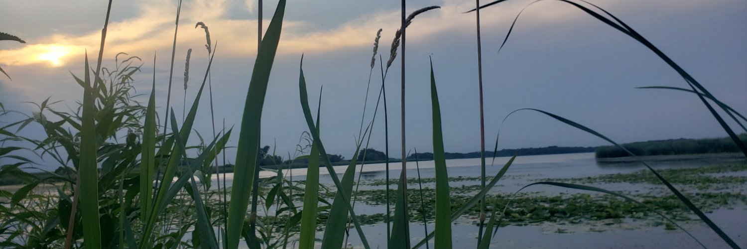 infinite___flow's profile banner image