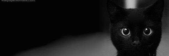 Adrii__Silva's profile banner image
