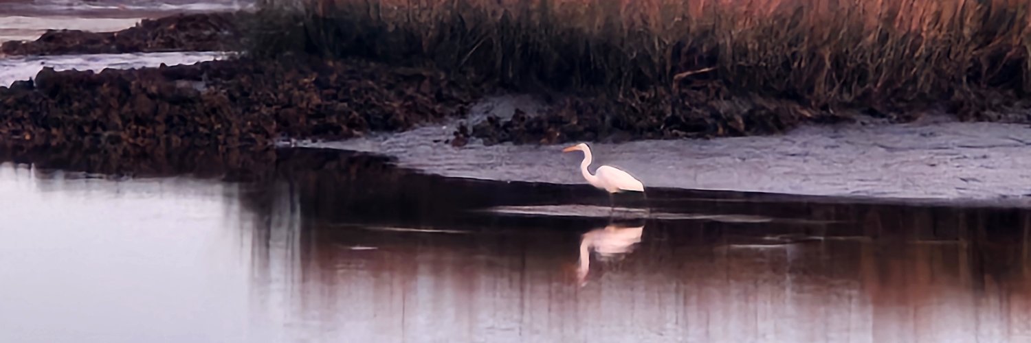 Devan Stuart Lesley banner