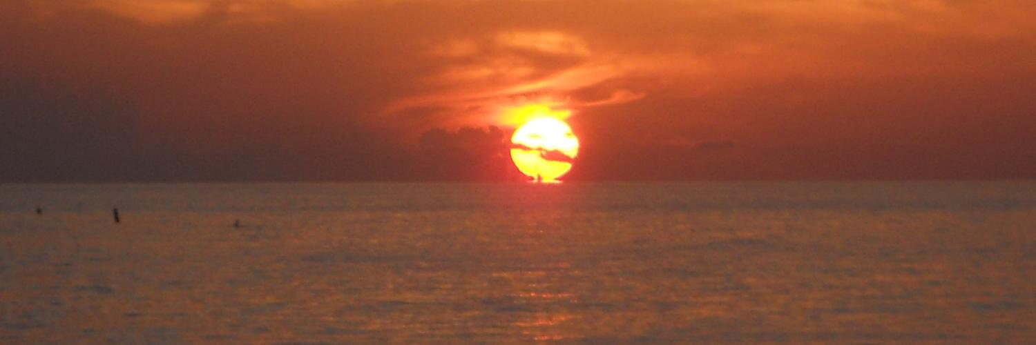 Sanibella's profile banner image