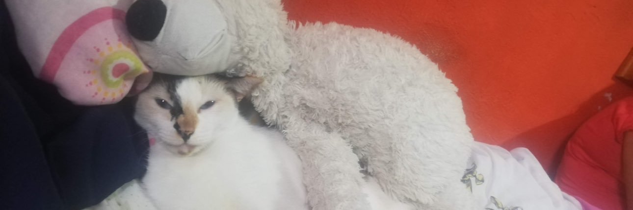 crissandroc's profile banner image