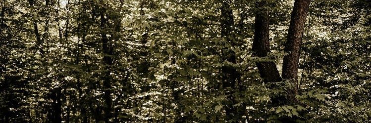 Ericayeahsure's profile banner image