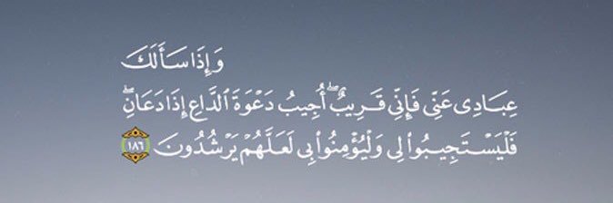 IbrSanad's profile banner image