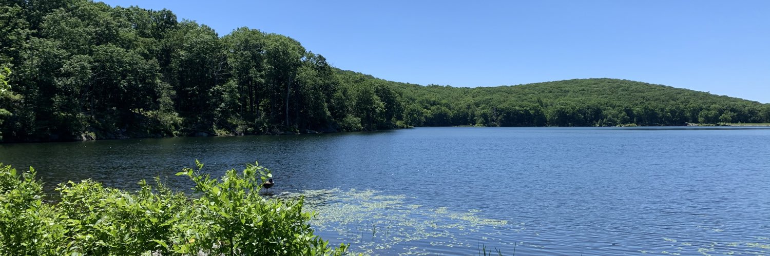 Ariana Lasher banner