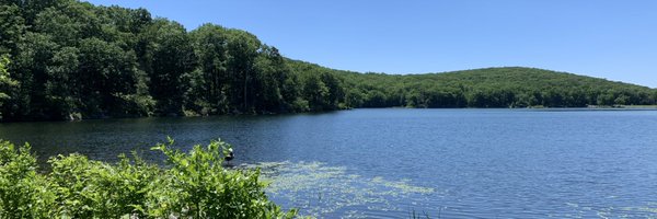 its_lasher Profile Banner