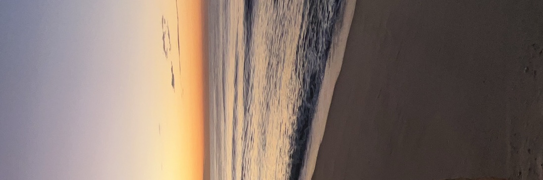 Alexiaf67's profile banner image