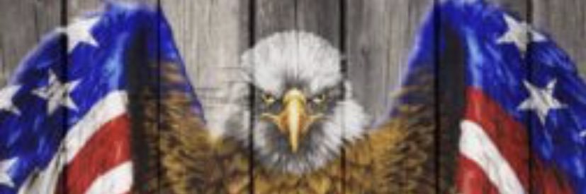 RyTheTrader's profile banner image