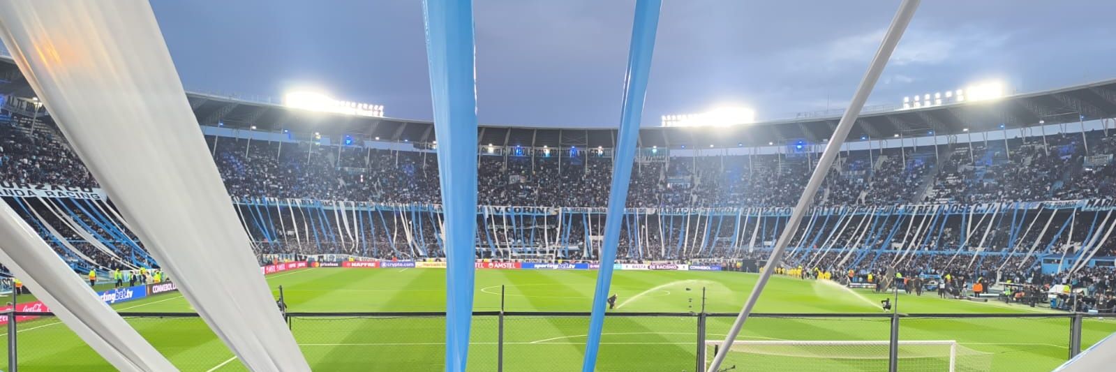 lustrupini's profile banner image