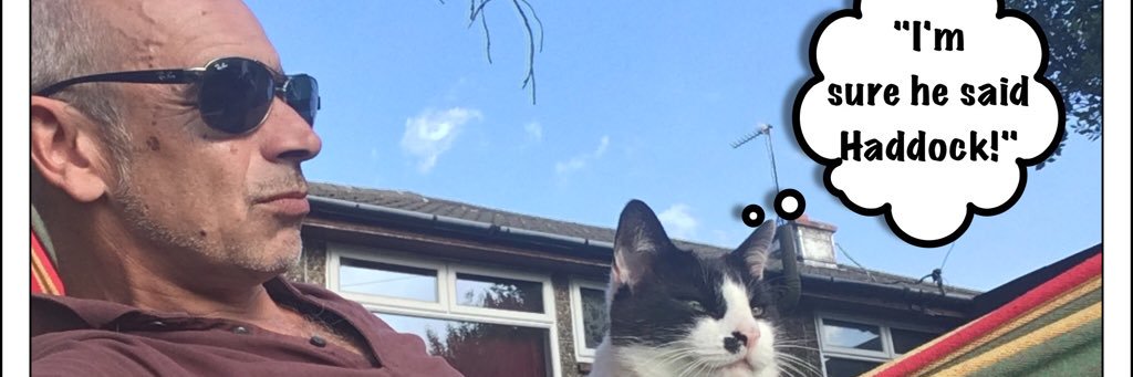NevFitz's profile banner image