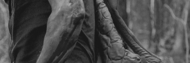 EchoingFears's profile banner image