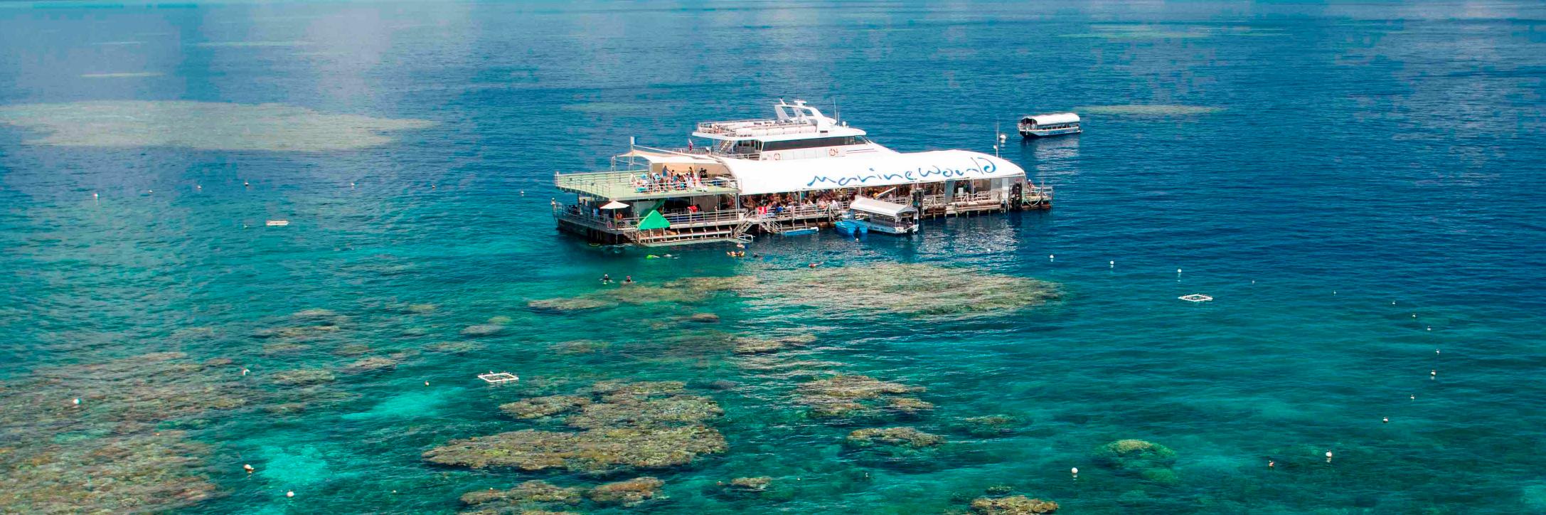 Reef Magic Cruises banner