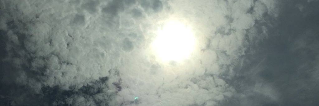 TheKingDLW's profile banner image
