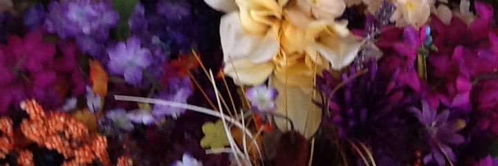 Fabrisia's profile banner image