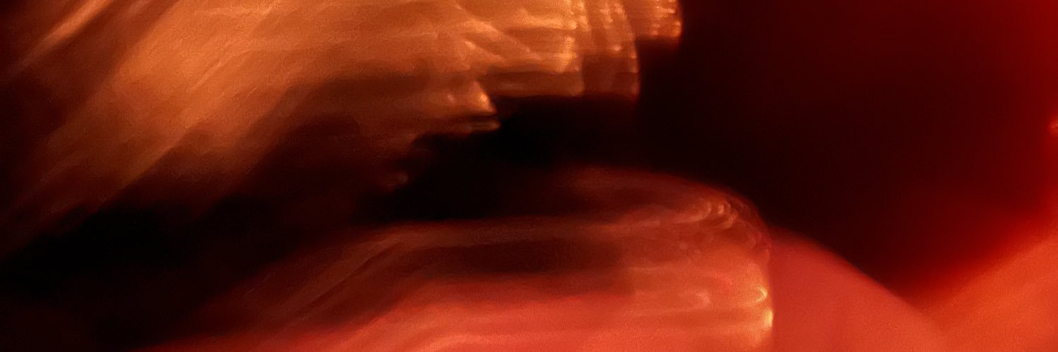 NAH391's profile banner image