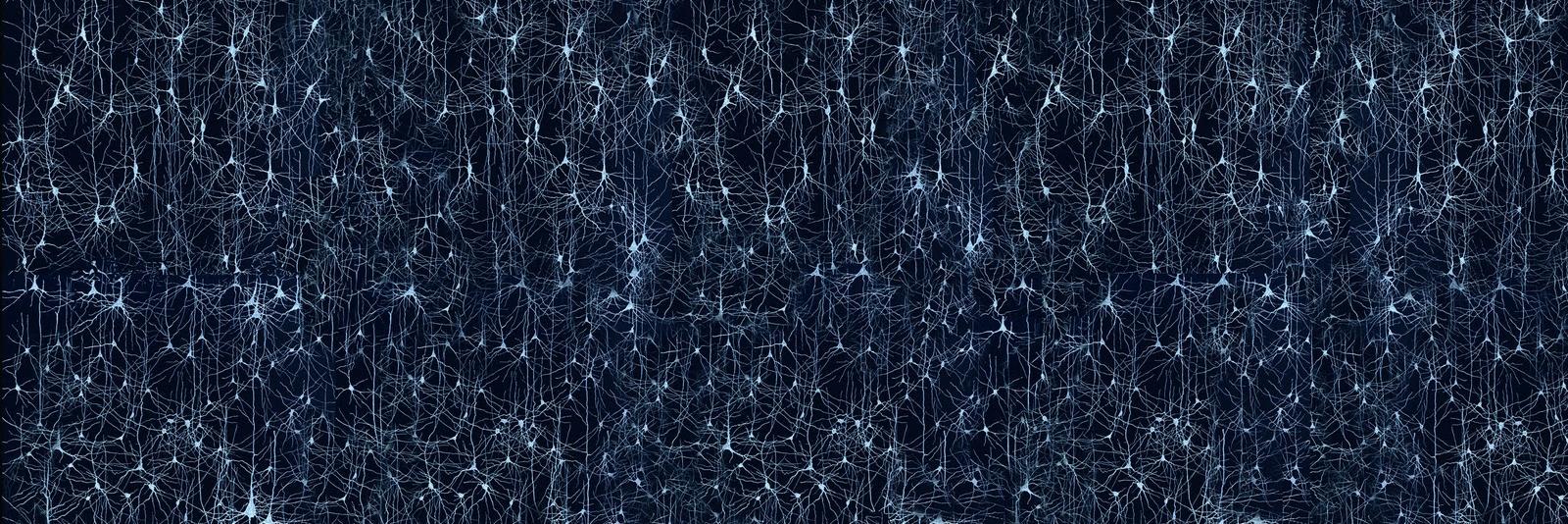 SolidLucho🇦🇷 banner