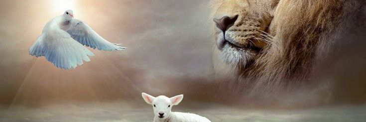 Torhappgmailco1's profile banner image