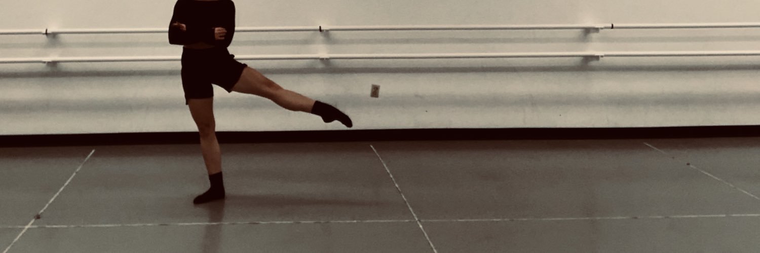 SkylarJoy's profile banner image