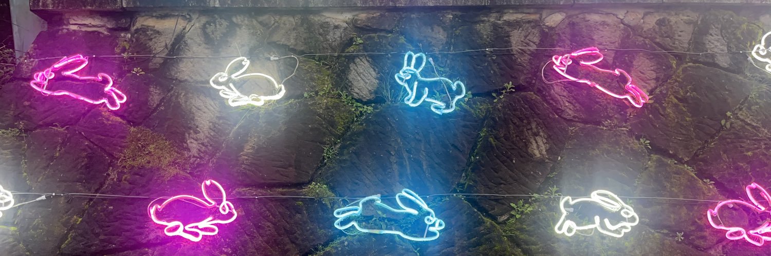 amyameir's profile banner image