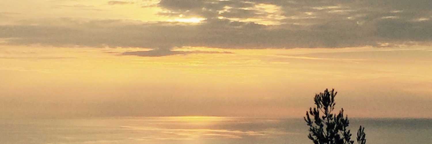 theiatina's profile banner image