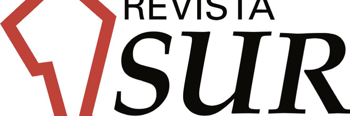 Revista Sur banner