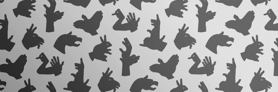 LizDiRs's profile banner image