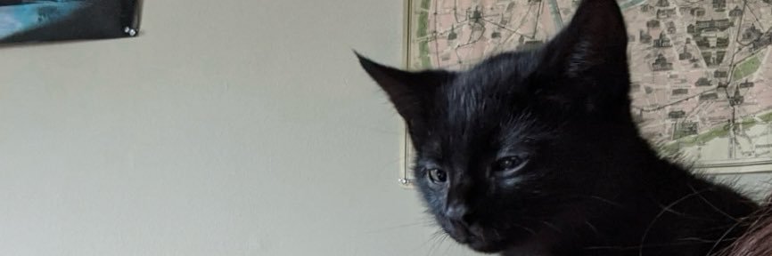 ooatmeall's profile banner image
