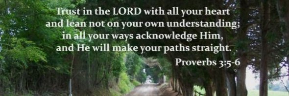 tracy_greely's profile banner image