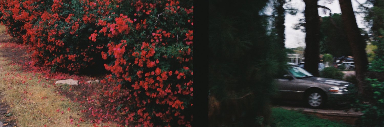 Michael J Buckius banner