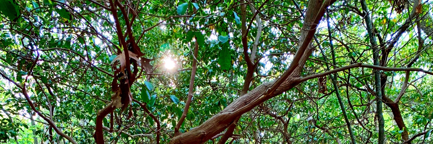 ciaramarieex's profile banner image