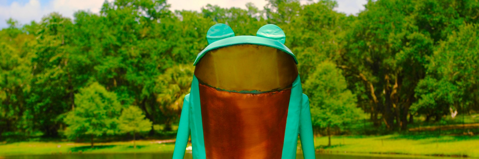 caitbodner's profile banner image