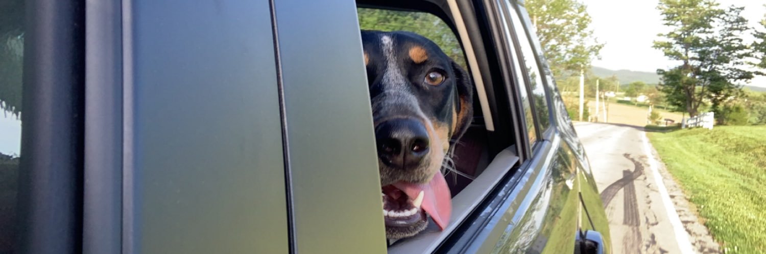 BrayPeck's profile banner image