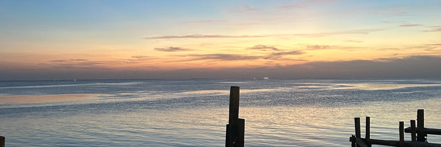MarisolPrado3's profile banner image