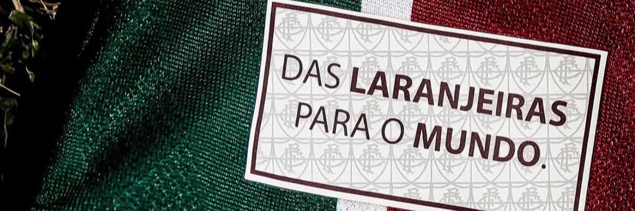 laraandradeffc's profile banner image