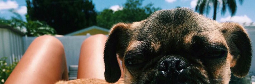 Jaaackaaay's profile banner image