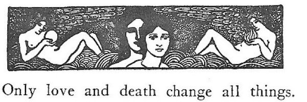 anthizo Profile Banner