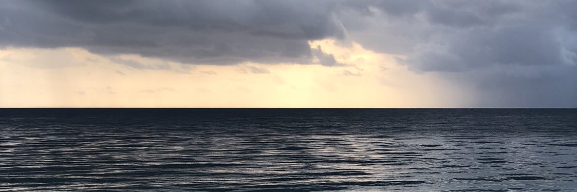 IHeartSharkWeek's profile banner image
