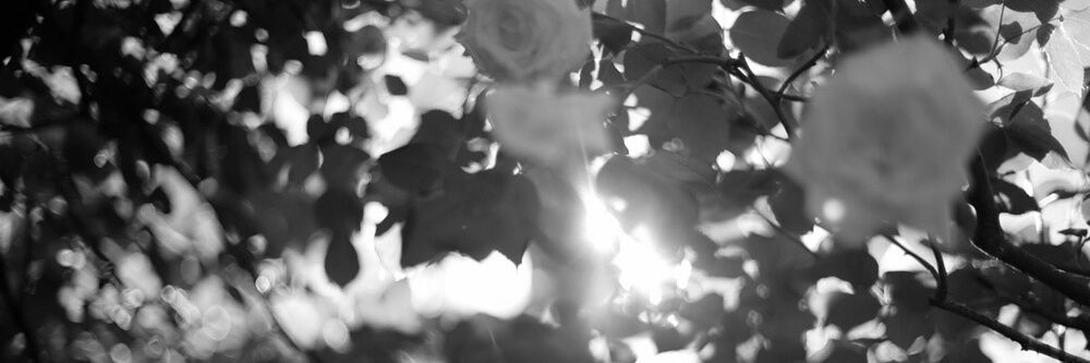 JYfmdate's profile banner image
