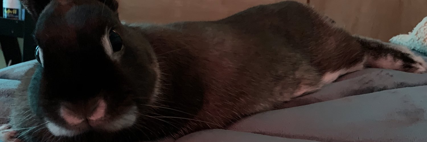 me0wmegv's profile banner image