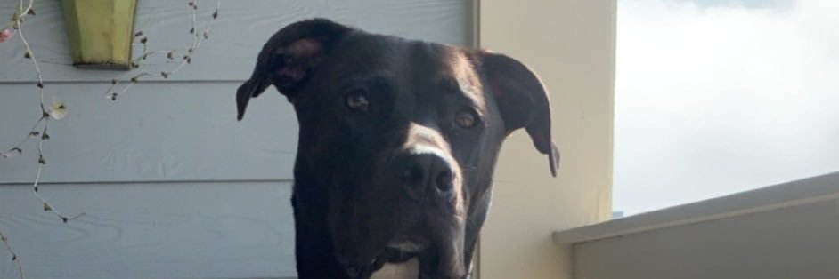 b_mccloskey44's profile banner image