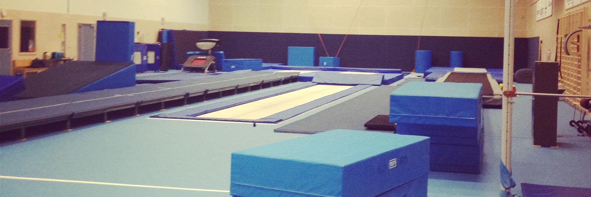 Malin Bergström banner