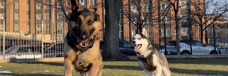 Eesteezy's profile banner image