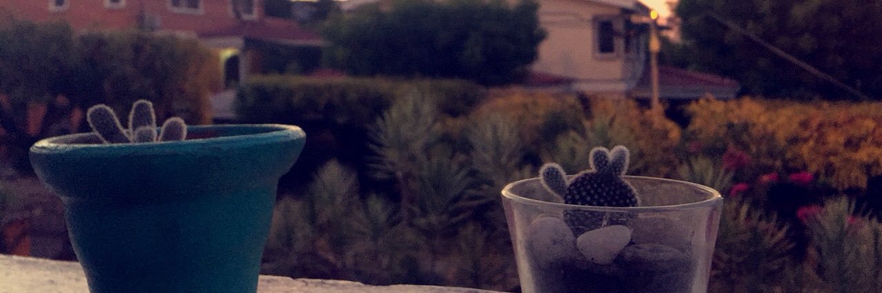 MarianaFrech12's profile banner image