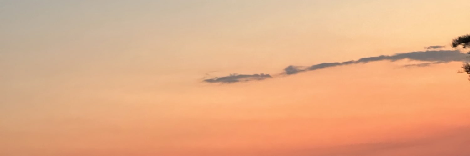 Zelaz24's profile banner image