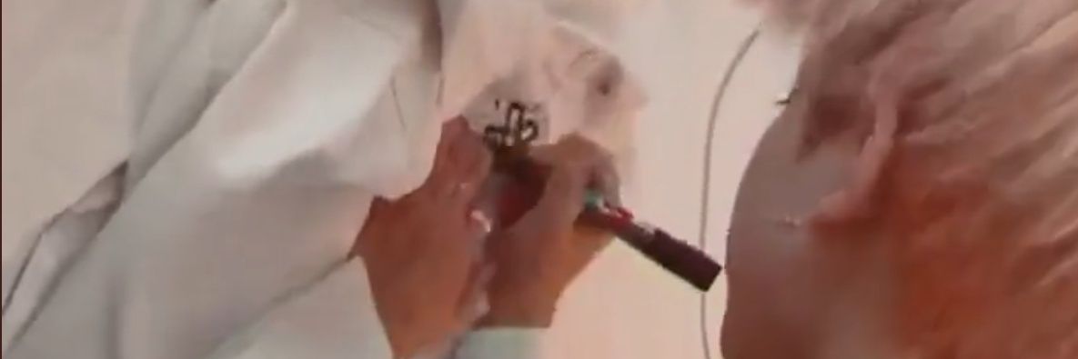 wahoo 🦝🥥 banner